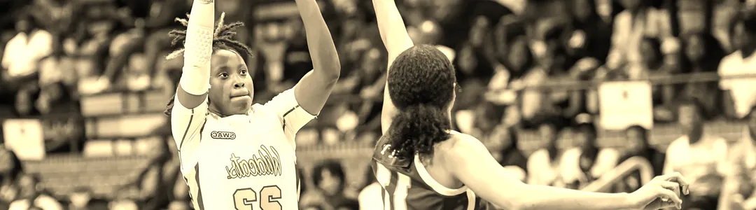 Bethune-Cookman Wildcats Basketball