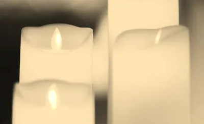 Candlelight: The Best of Joe Hisaishi