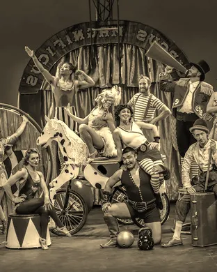 Cirque Mechanics