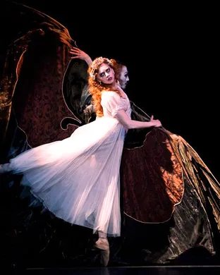 Dracula - Ballet