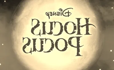 Hocus Pocus In Concert