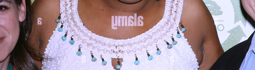 Macy Gray