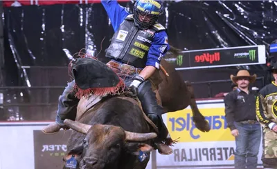 PBR - Unleash The Beast
