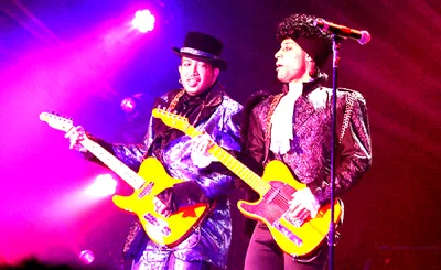 Purple Reign - Prince Tribute