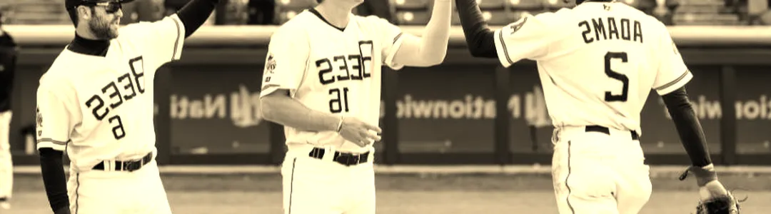 Salt Lake Bees
