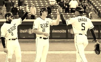 Salt Lake Bees
