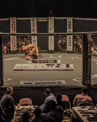 UFC 332: Silva vs. Wang sports event