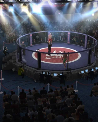 Fierce Fighting Championships