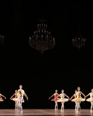 Swan Lake - Symphony of Lights